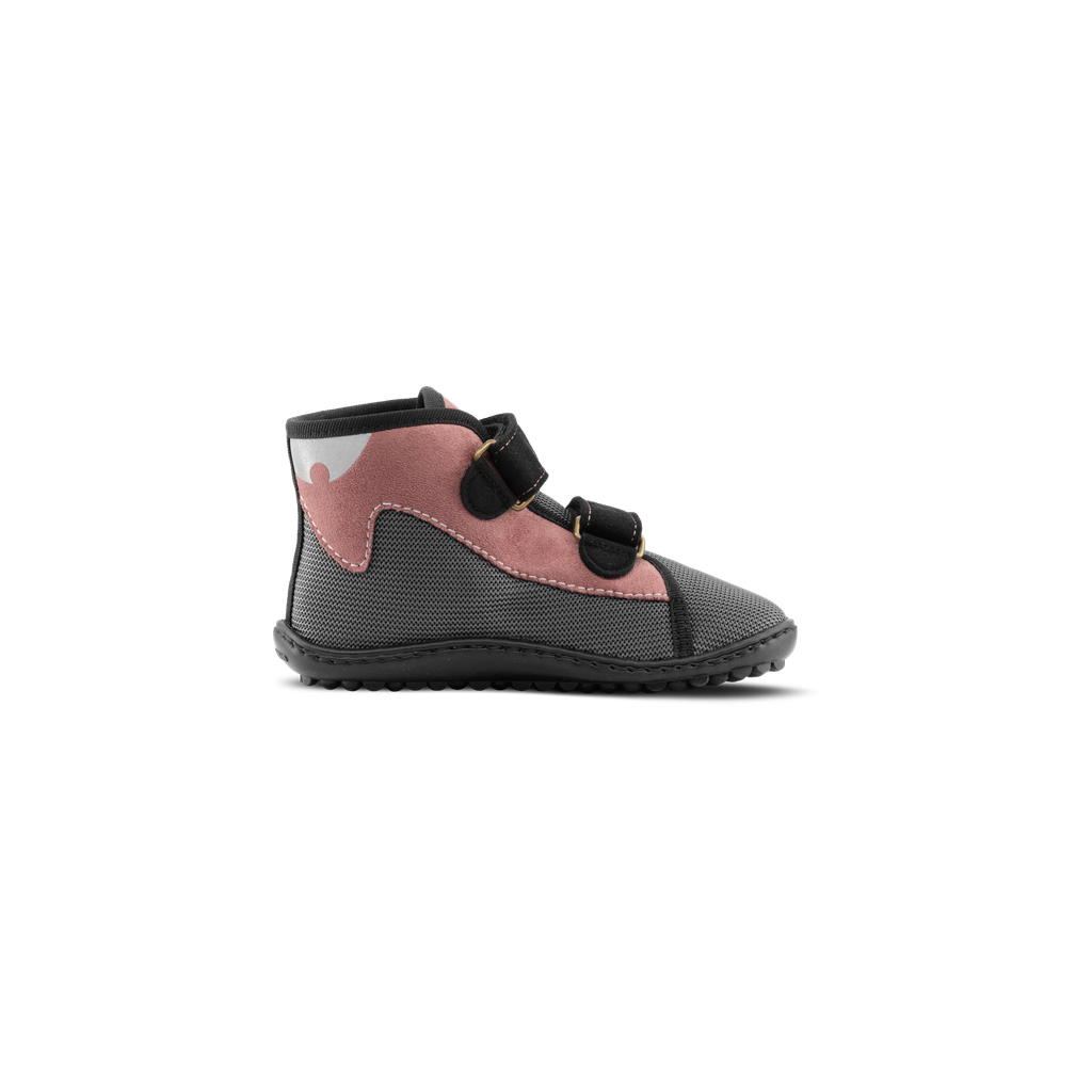 leguanito_scippo rose_Klett_04.png