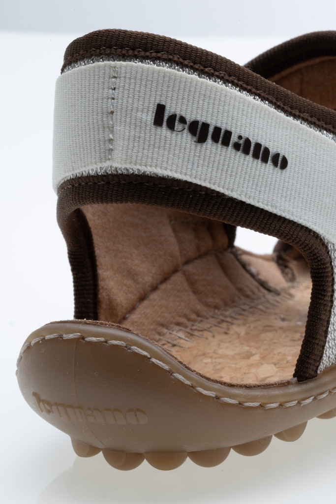 leguano_attrektive_nature