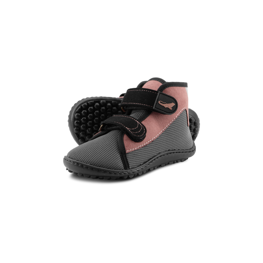 LEGUANITO scippo rose
